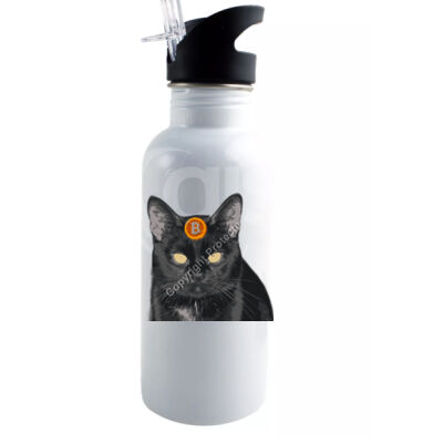 cat kitten - Stainless Steel Sports/Water Bottle 600ML Thumbnail