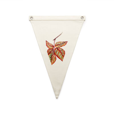 say hello autun - AS Colour - Canvas Pennant Flag Thumbnail
