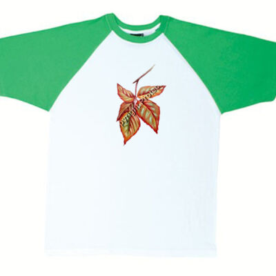 say hello autun - RAMO - Unisex Raglan Sleeve Tee Thumbnail