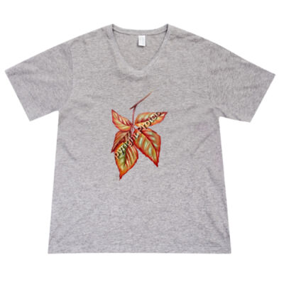 say hello autun - RAMO- Mens V-Neck Tee Thumbnail