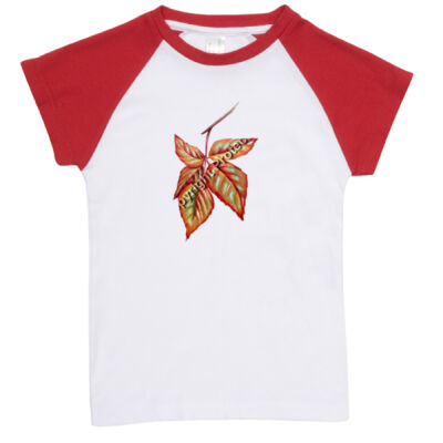 say hello autun -  RAMO- Organic Baby Raglan  Thumbnail