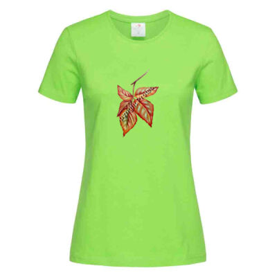 say hello autun - Stedman Ladies Classic Tee Thumbnail