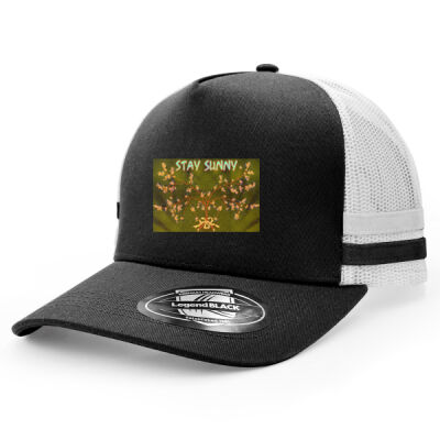 stay sunny - Striped Trucker Thumbnail
