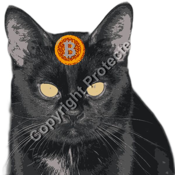 black cat bitcoin stud head png0 Thumbnail