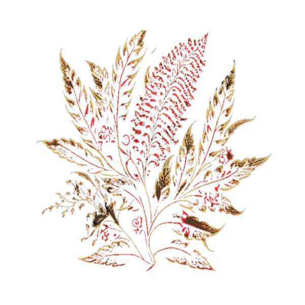 autumn pleasure Thumbnail