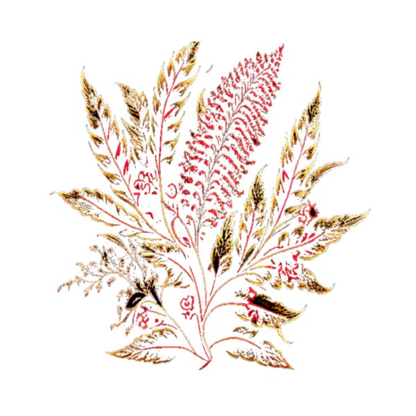 autumn joy0 Thumbnail